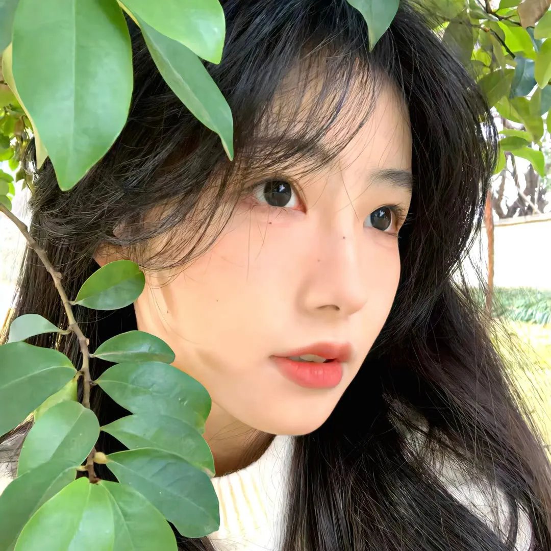 苏珊娜